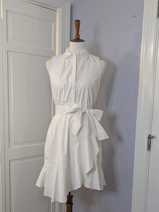 Express Dresses & Skirts - Express Boyfriend Poplin Portofino Shirt Dress Mini